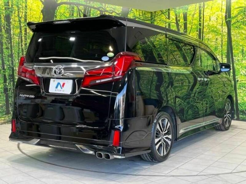 ALPHARD-17