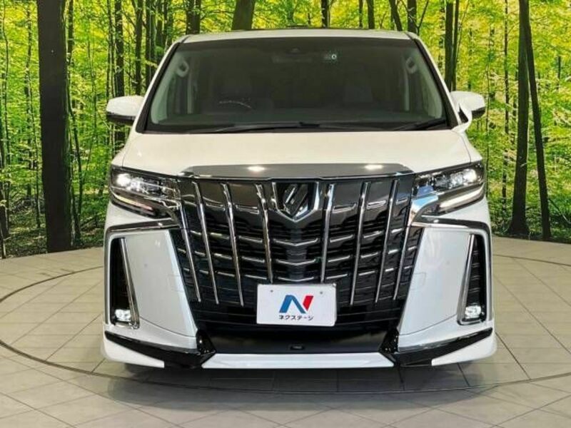 ALPHARD-16