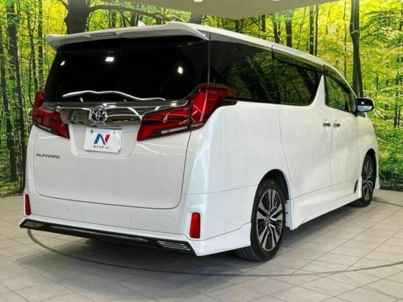 ALPHARD-19