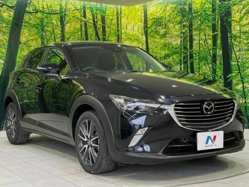 CX-3-16