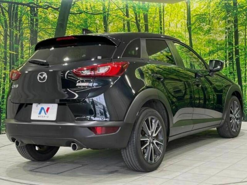 CX-3-17