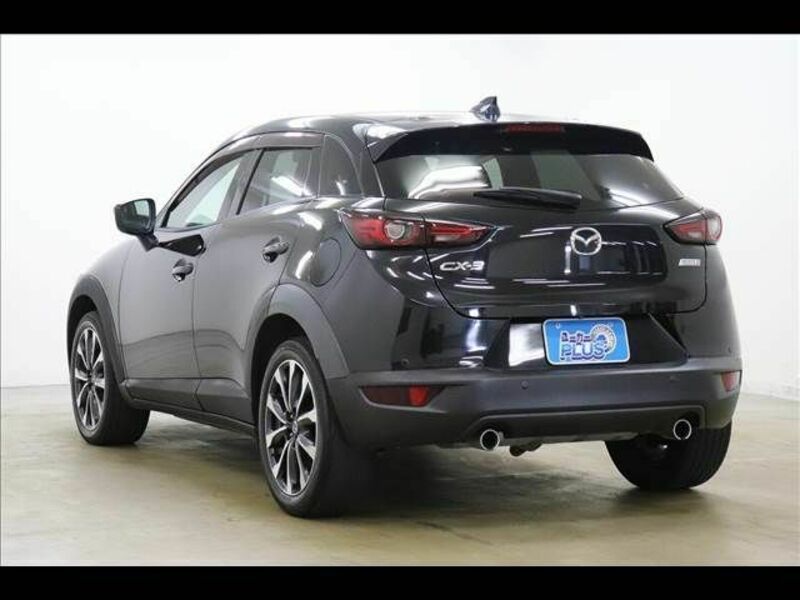 CX-3-19