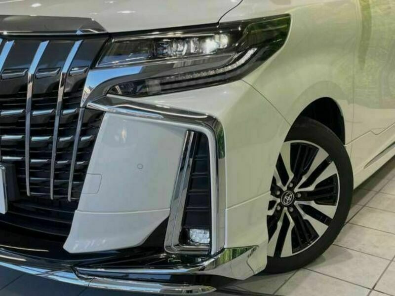 ALPHARD-13