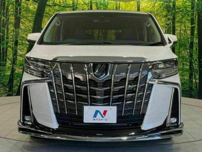 ALPHARD-15