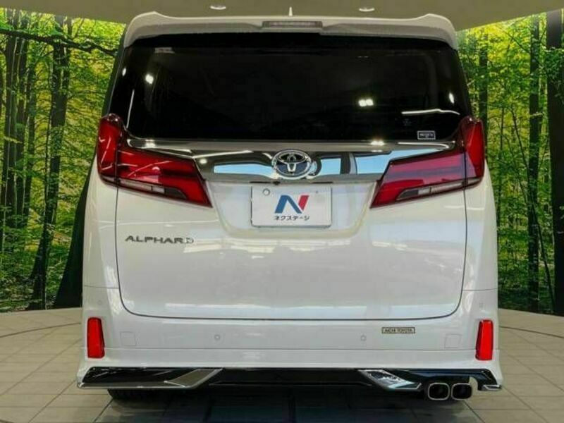 ALPHARD-16