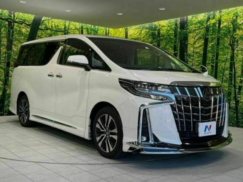 ALPHARD-17