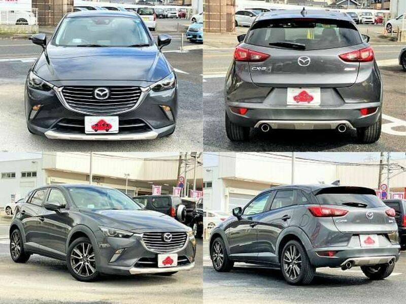 CX-3-8