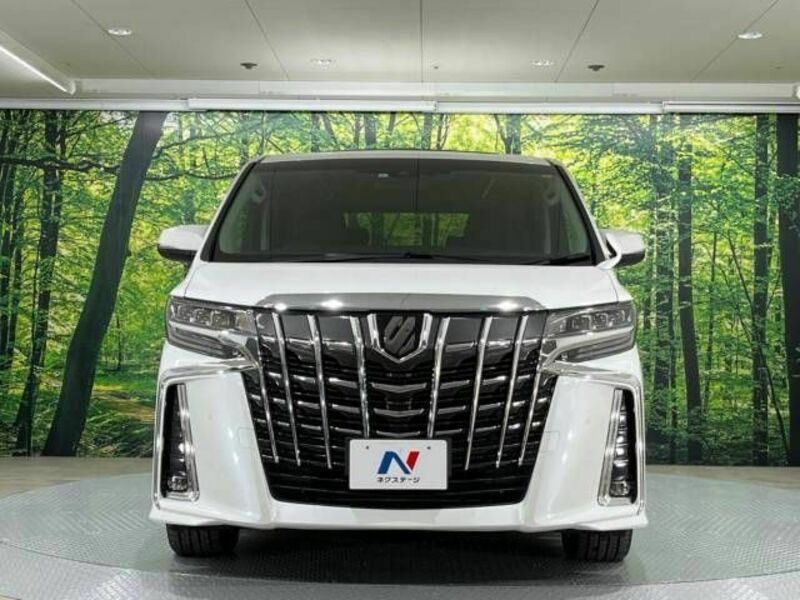 ALPHARD-15