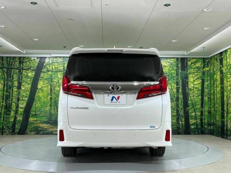 ALPHARD-16