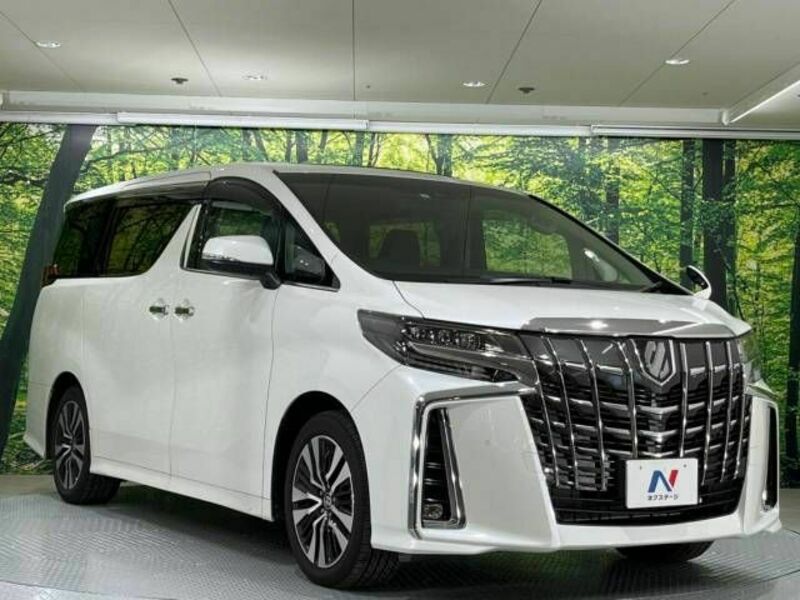 ALPHARD-17