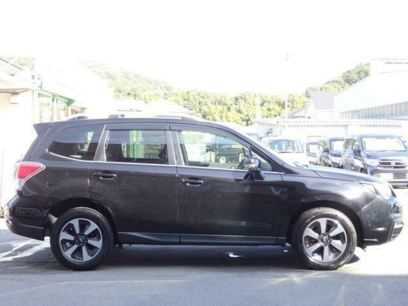 FORESTER-4