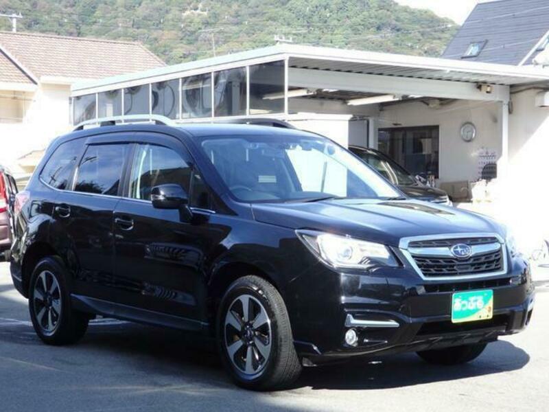 FORESTER-6