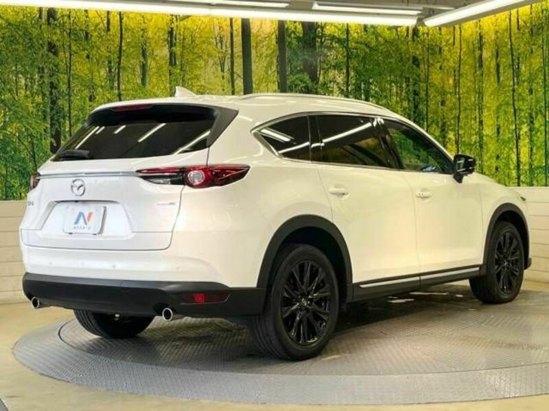 CX-8-17