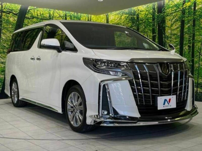 ALPHARD-16