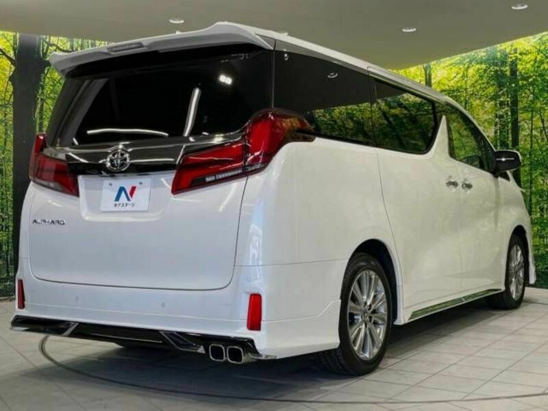 ALPHARD-17