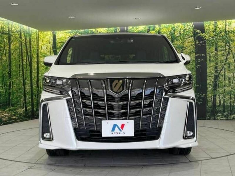 ALPHARD-15