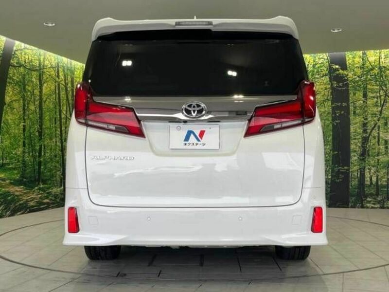 ALPHARD-16