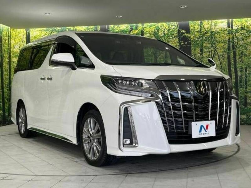 ALPHARD-17