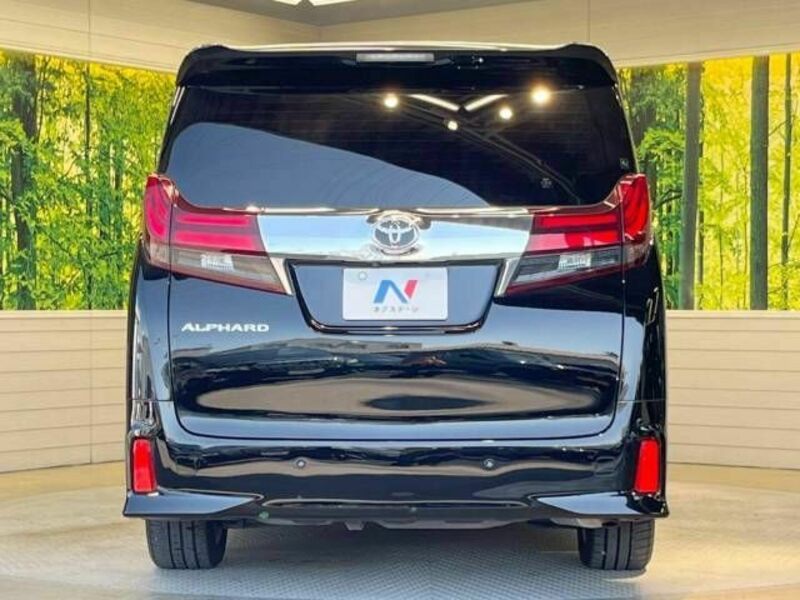 ALPHARD-16