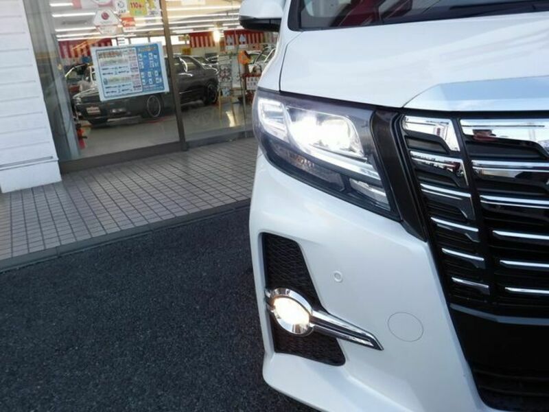 ALPHARD-3