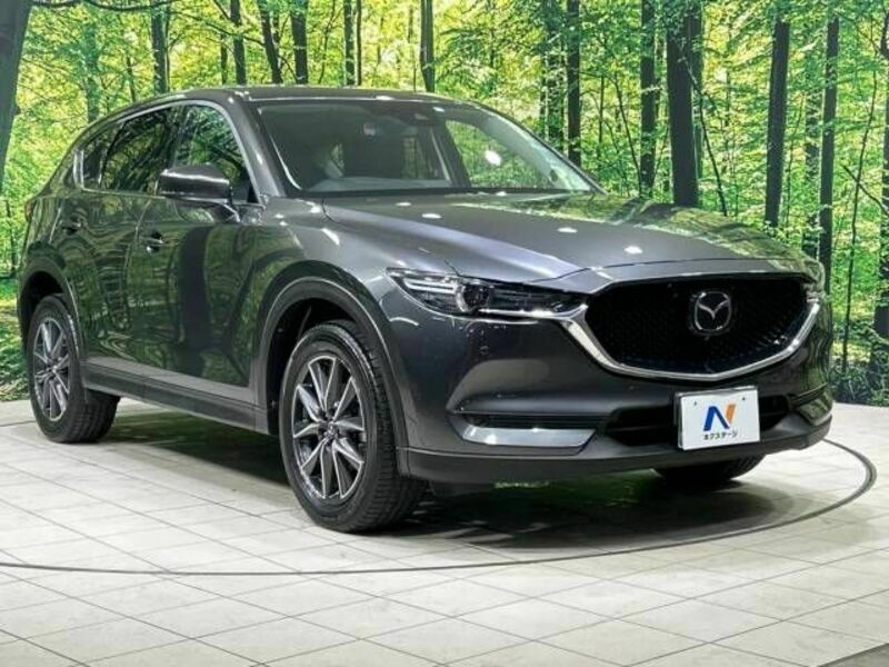 CX-5-16