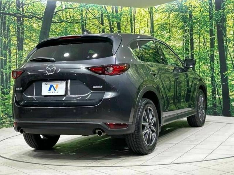 CX-5-17