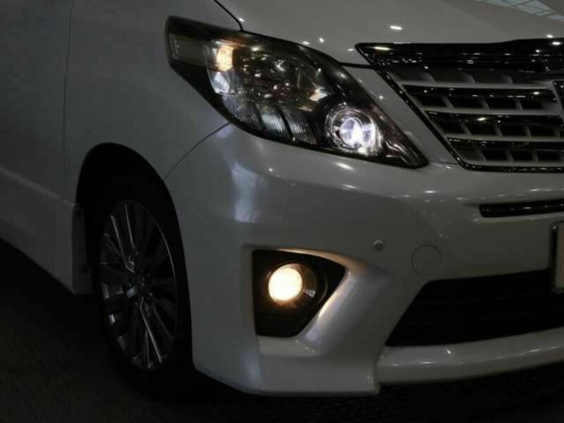 ALPHARD-14