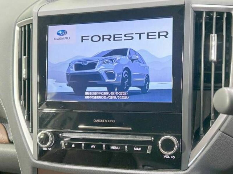 FORESTER-3