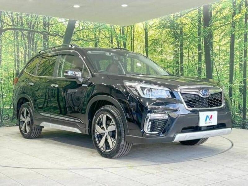 FORESTER-16