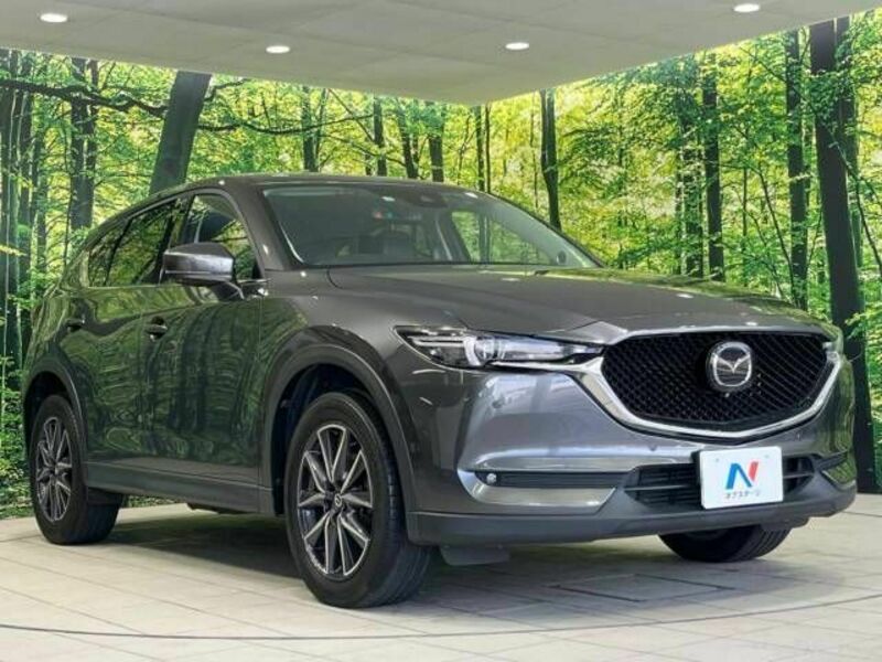 CX-5-16