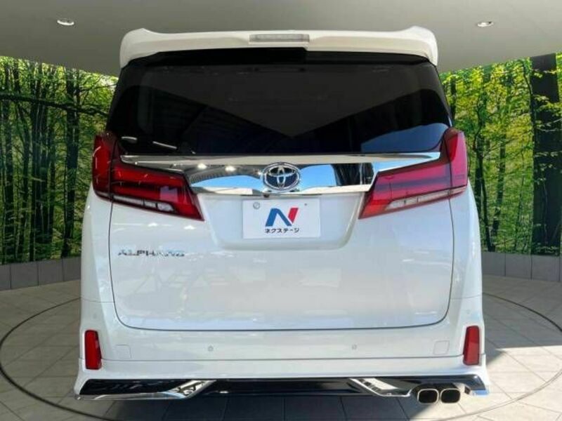 ALPHARD-15