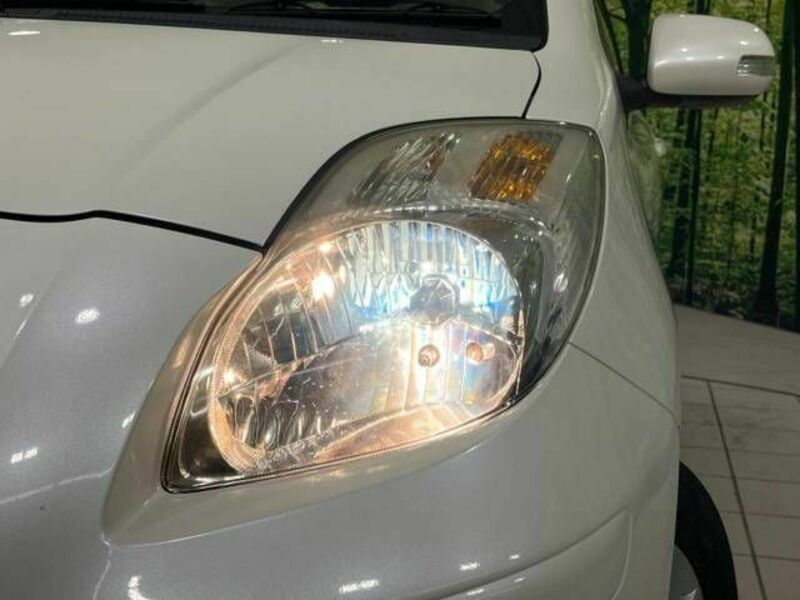 VITZ-10