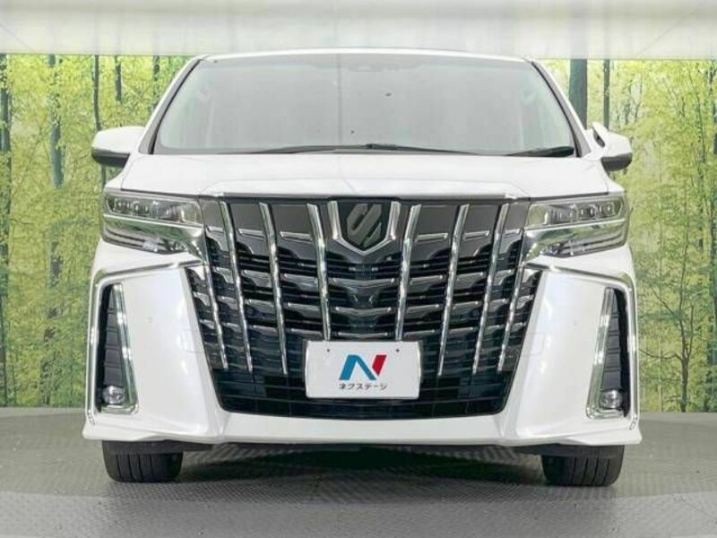 ALPHARD-15