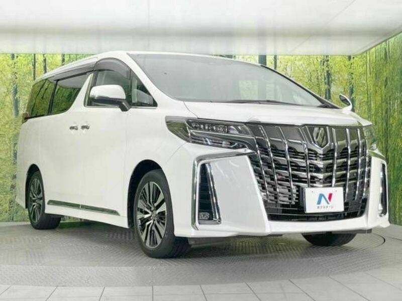 ALPHARD-17