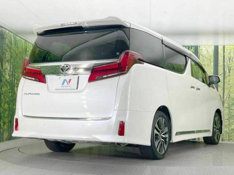 ALPHARD-18