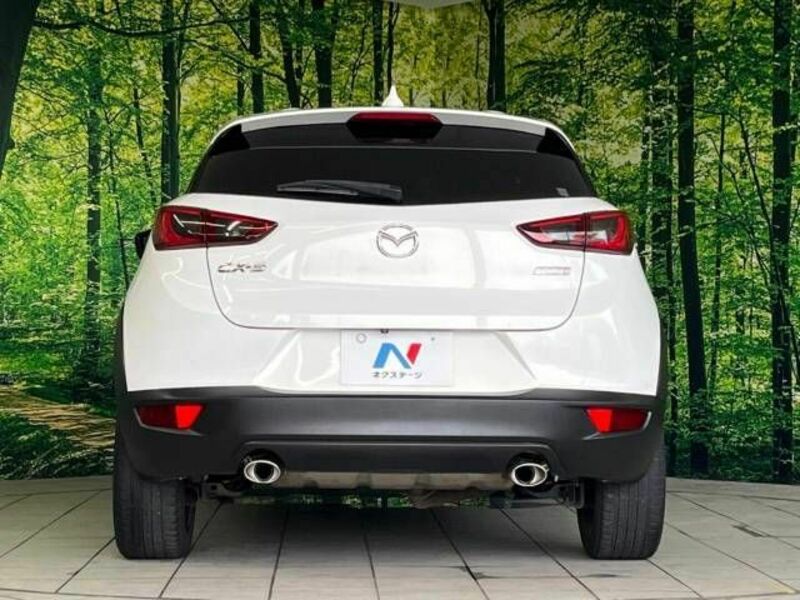 CX-3-15