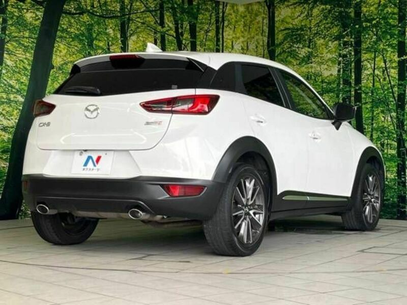 CX-3-17