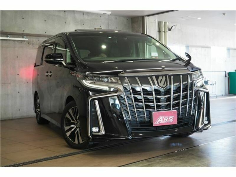 ALPHARD-6