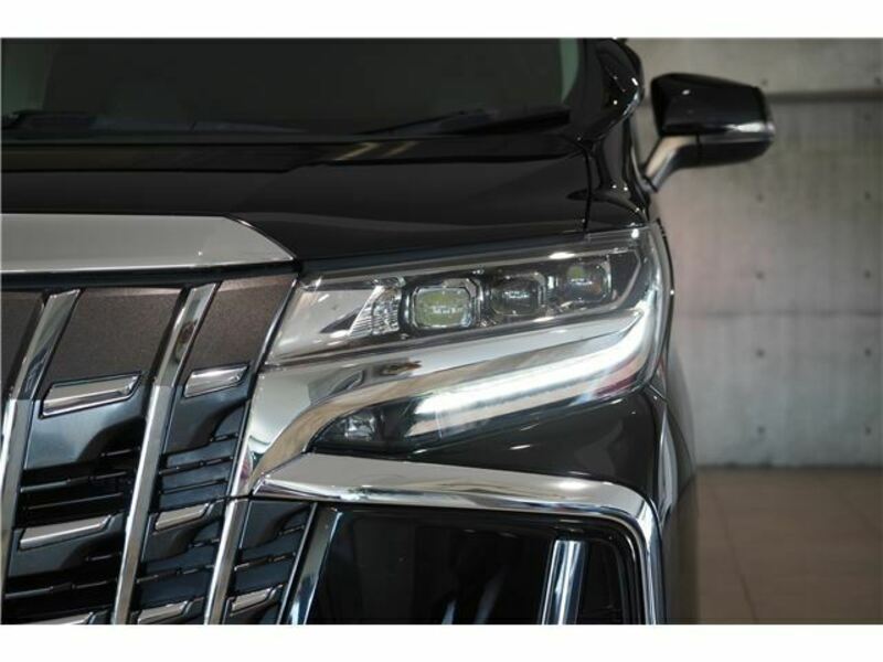 ALPHARD-8