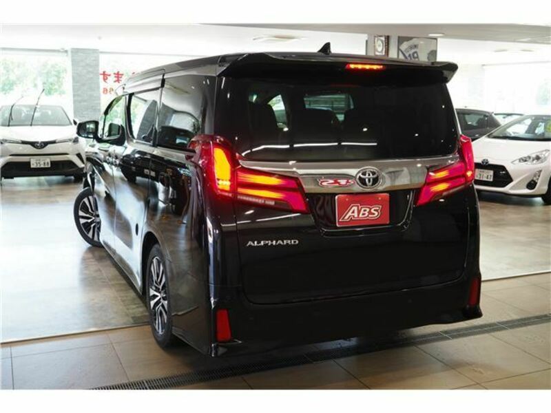 ALPHARD-11