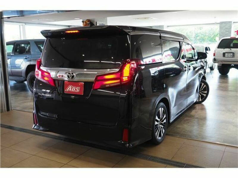 ALPHARD-14