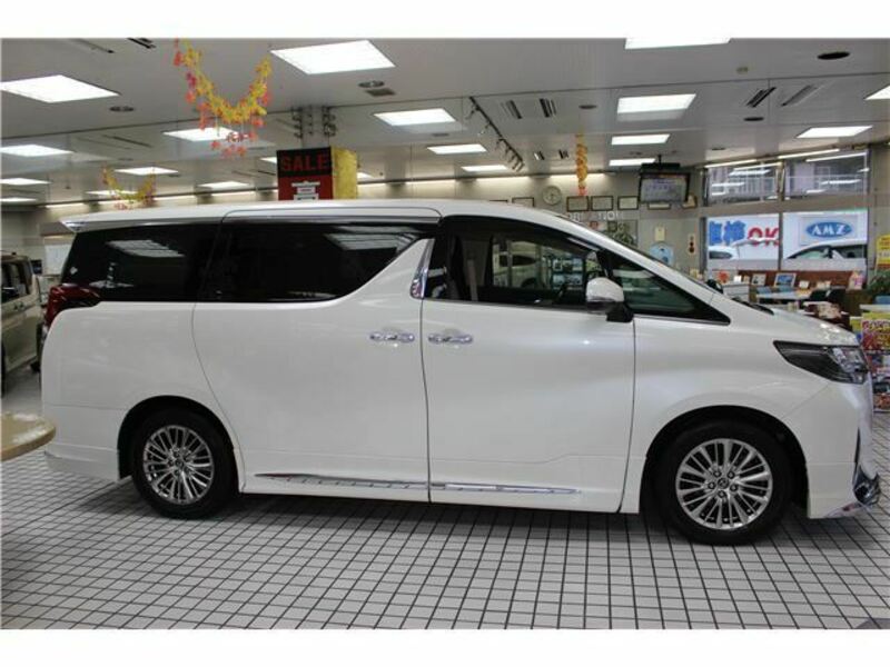 ALPHARD-6