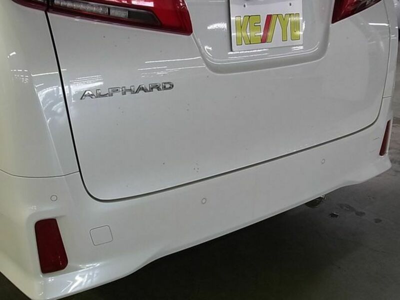 ALPHARD-28