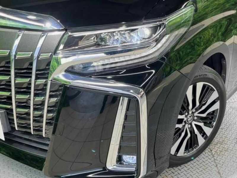 ALPHARD-13