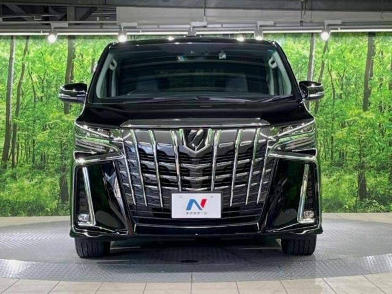 ALPHARD-15