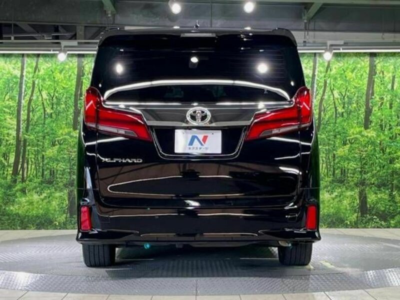 ALPHARD-16