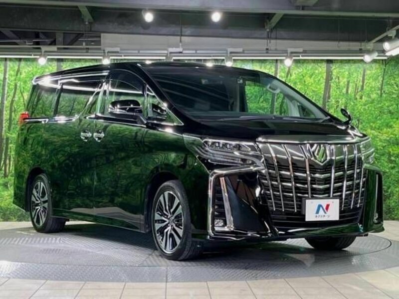 ALPHARD-17