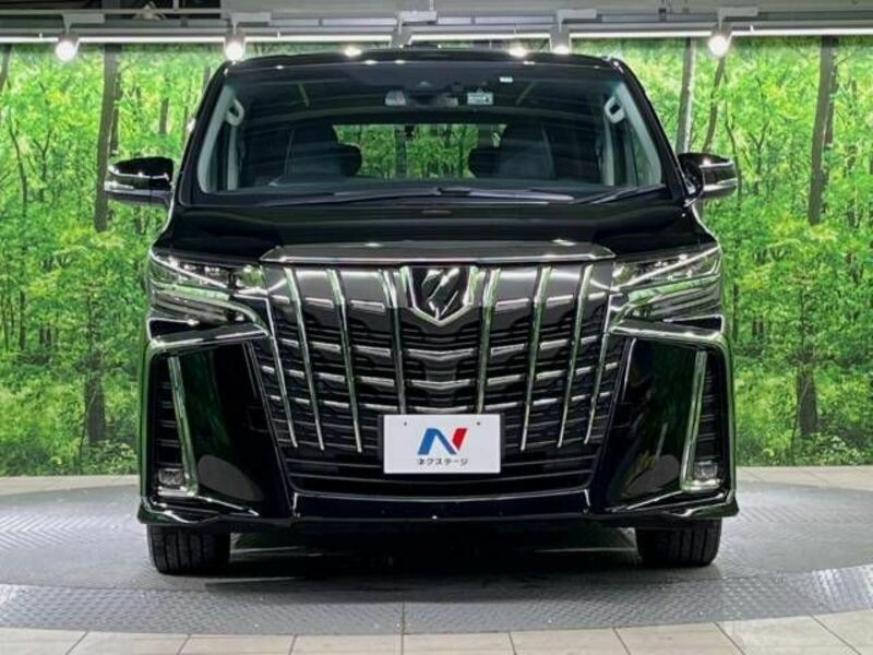 ALPHARD-15