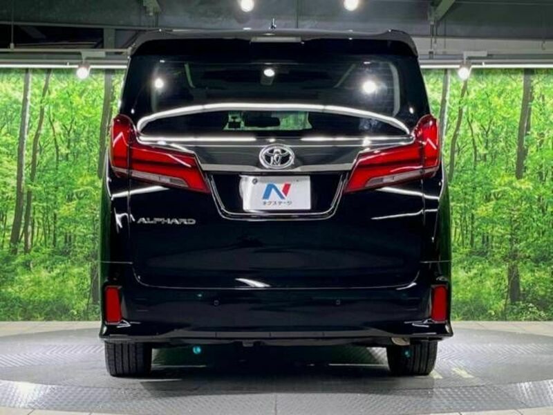 ALPHARD-16