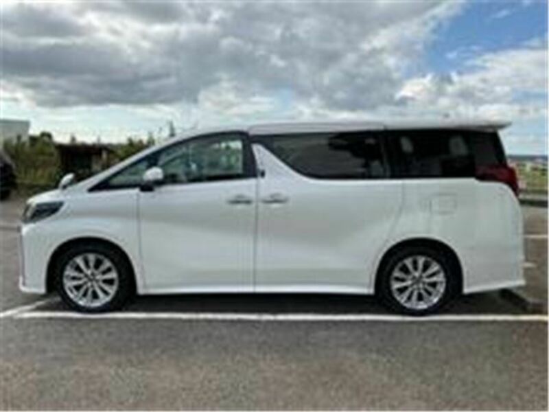 ALPHARD-8